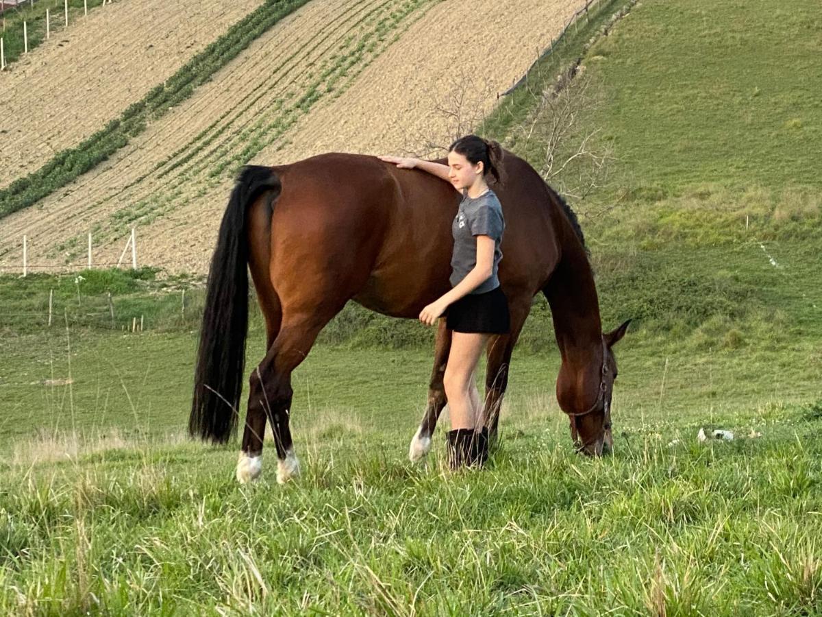 Tenuta Lisetta Monterotondo  Εξωτερικό φωτογραφία