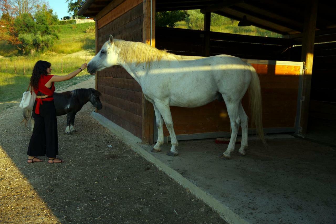 Tenuta Lisetta Monterotondo  Εξωτερικό φωτογραφία